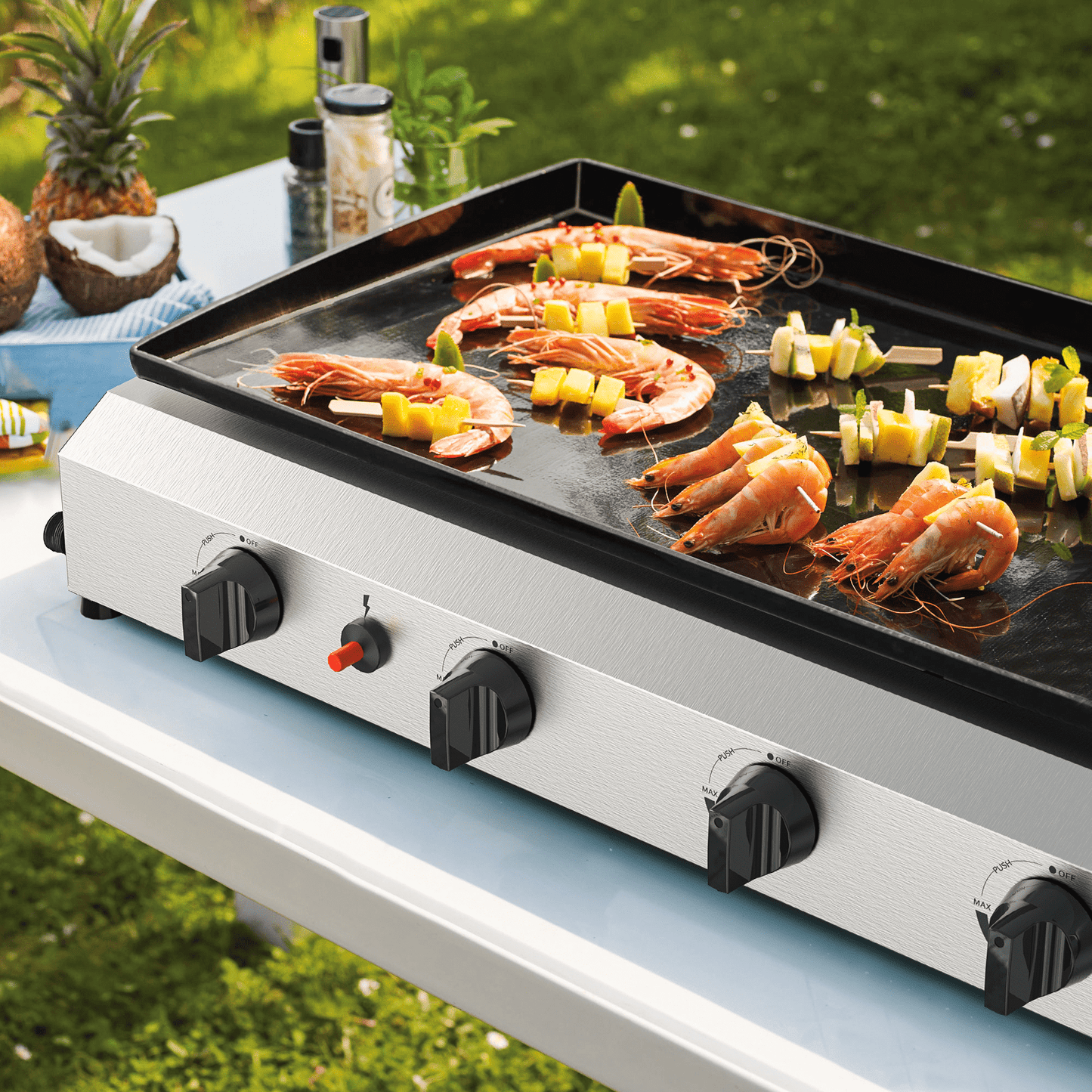 Outdoor Propane Griddle